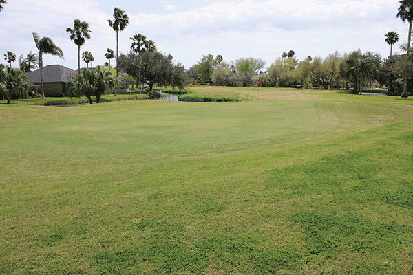 20220319 Stuart Place Golf Course ALB 0058 web