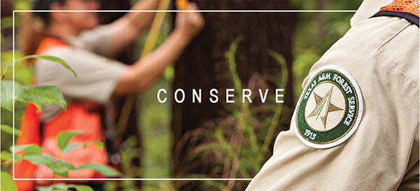 header image conserve
