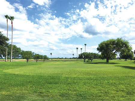 cottonwood creek web
