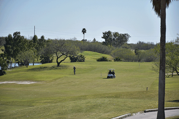 20160204 Champion Lakes Palmview7341 web