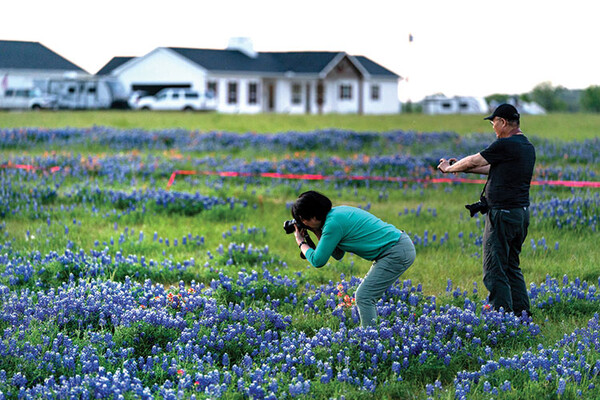 Wildflower photography Wildflower Photographers