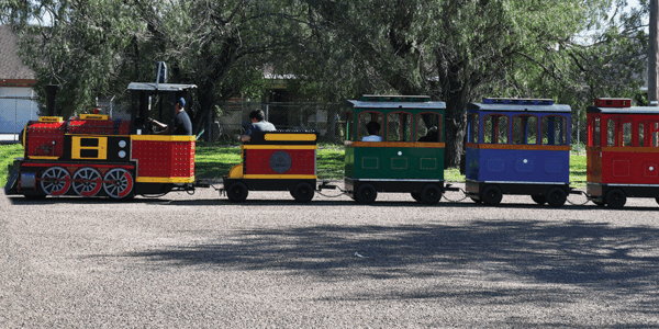 aa Elks Taking a Train Ride web
