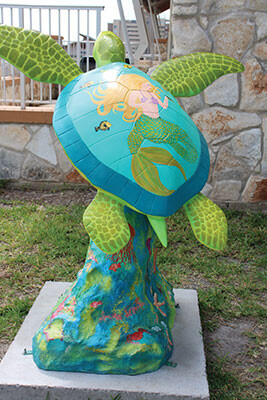 turtle trail spi Iimg 3756