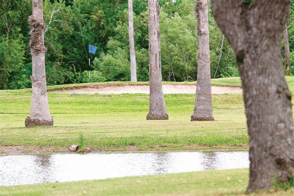 20191020 Rancho Viejo Golf Course HMiller 8428 web