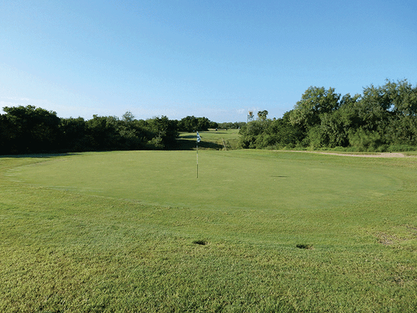 20180208 Tony Butler Golf Course 09 web