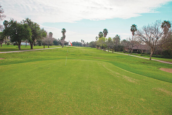 20220309 Shary Golf Course