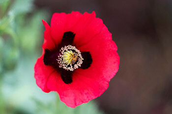 20210414 The Gardens LM 0037